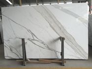 24x48 Natural Stone Slabs Calacatta Countertop Kitchen Bench Top Vanity Tops
