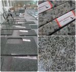 Bathroom / Kitchen Green Solid Granite Worktops 0.01% Water Absorption