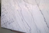 High Density Marble Wall Panels For Showers / Room , White Marble Slab Flooring