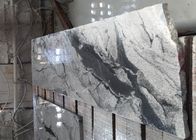 Grey Veins Natural Stone Slabs Wall Tiles 2.95 High Granite Density