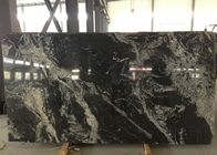 Fantasy White Black Natural Stone Slabs Polished / Custom Surface