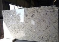 Pure White Galaxy Natural Stone Slabs For Household Edge Optional