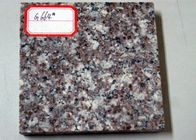 OEM Size Granite Modular Kitchen Tiles , Hotel Grey Granite Bathroom Tiles