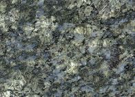 Butterfly Blue Granite Stone Tiles For Restaurants Flooring Countertop