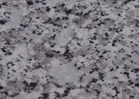 Large Size Granite Stone Tiles 2cm Thickness Hotel / Home Decoration Suit