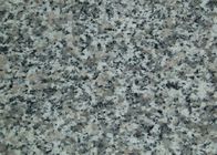 Building Material Granite Stone Tiles / Slab Different Sizes Optional