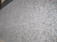 GranitE G383 Material Bianco Antico Granite Slab Grey Flower Pearl Color