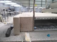 30mm Artificial Quartz Lightweight Stone Panels With No Impurity